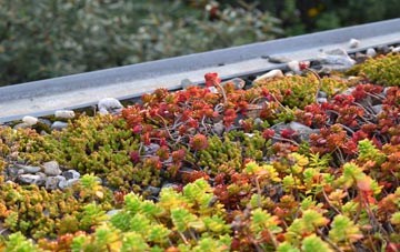 the cost of Daneway green roof installation
