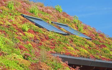 Daneway living roof systems