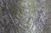 Daneway fibreglass roof work